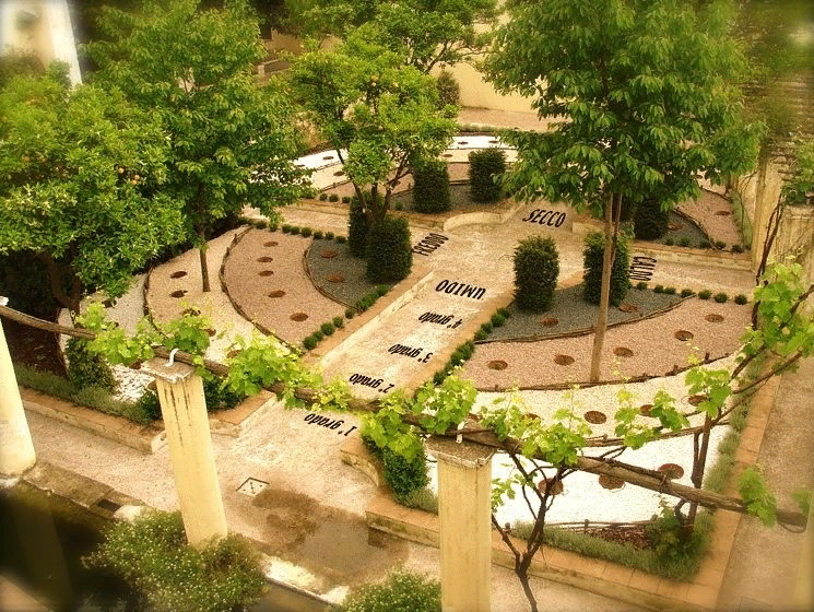 Секреты древности: самые старые ботанические сады мира