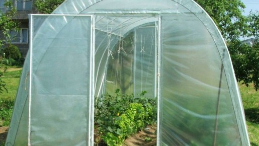 ��� ��������� ��������� ������� �� ������ �� ����