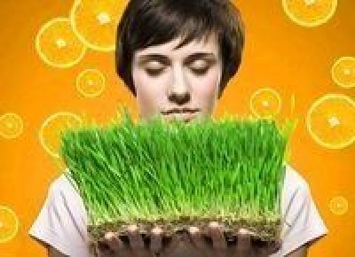 ��� ���������� �� ����������� ������ � ��������: ������� ������