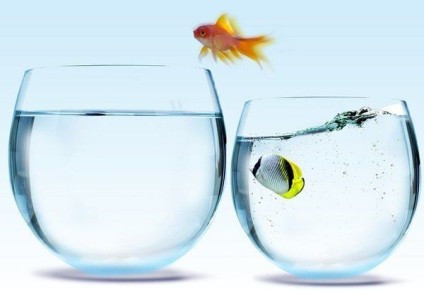 ��� �� ����� ���������� �������� ���� ����� �� �����