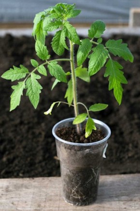 ��� ��������� ������ ��� ��������� �������