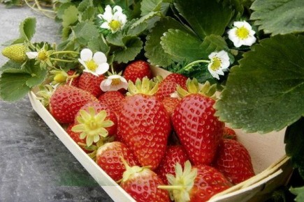 ���������� ����� � ������������ �������� � � ������ ��������������