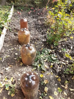 ����� ������������ ������������ �����������: ������, ������, �������