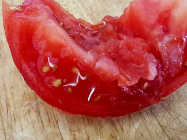 ��� �������� �� ����� ���������, ��������� � ��������?