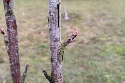 ����� �������� ����� ������ � ��� � ���� ��������