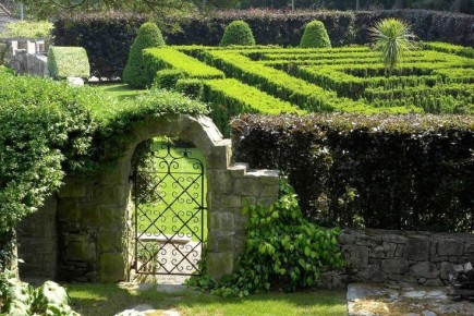 ����-���������: �� ��������� �� ����������� ������