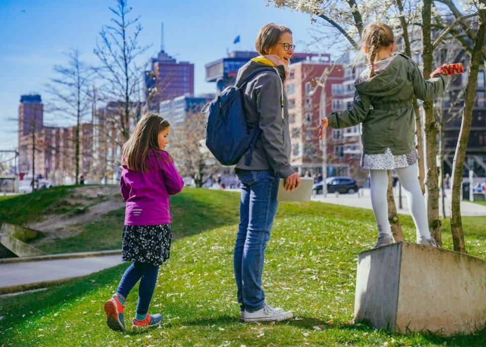 Выделение долей в жилье без нотариуса: что нужно знать