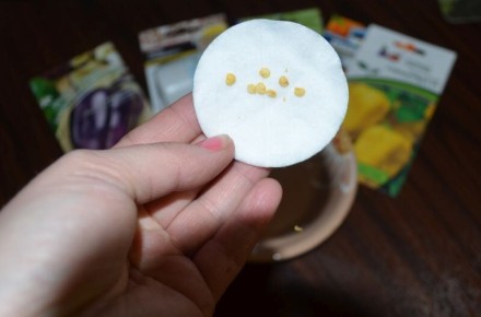 ������� ��������� ������ ����� � �������: ������� ������� ���������