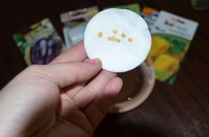 Секреты успешного посева перца в феврале: влияние Лунного календаря