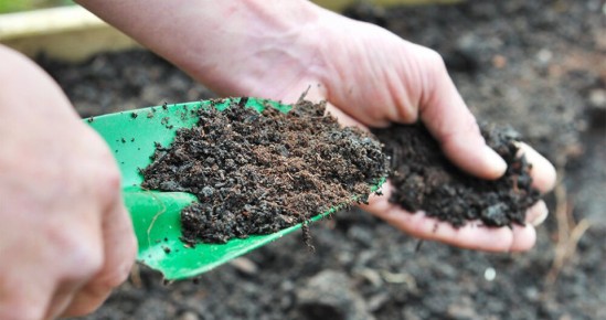 Как осенью подготовить почву для весеннего цветения