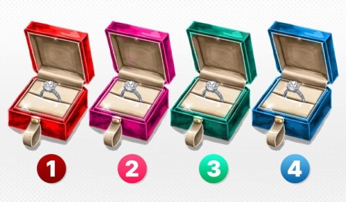 ��� ������ �������� ����� ������ ���������: ��������������� ����