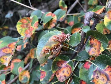 ��� �������� �������� �� ������ � ������ ����