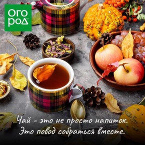 ��� ���� ��� �������� ������������ ���: ��� ����� �������� � ���� �����