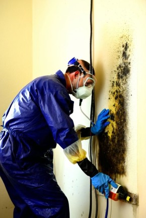 ��� ��������� ���������� �� �������: ������ � ������ ��������