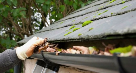 ��� ������� ��������� ������ �����: ������ ���� ��� ���������� �������