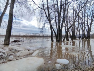 � ����� ����� � ����� ������� ���������� ����� �������� ���