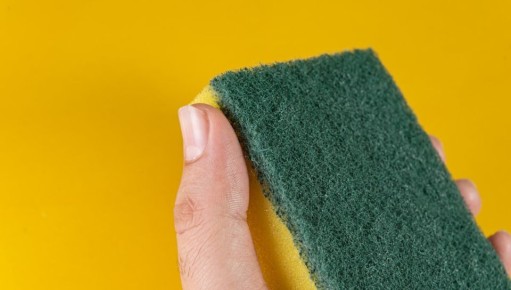 Пора сменить губку: как избежать бактериального нашествия на кухне