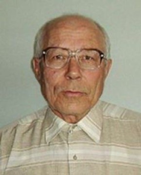 Пигмей: уникальная чёрная смородина для вашего сада