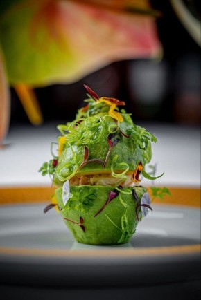 ����� � ��������� Regent: ���������� ����� ��� ���������� ���������