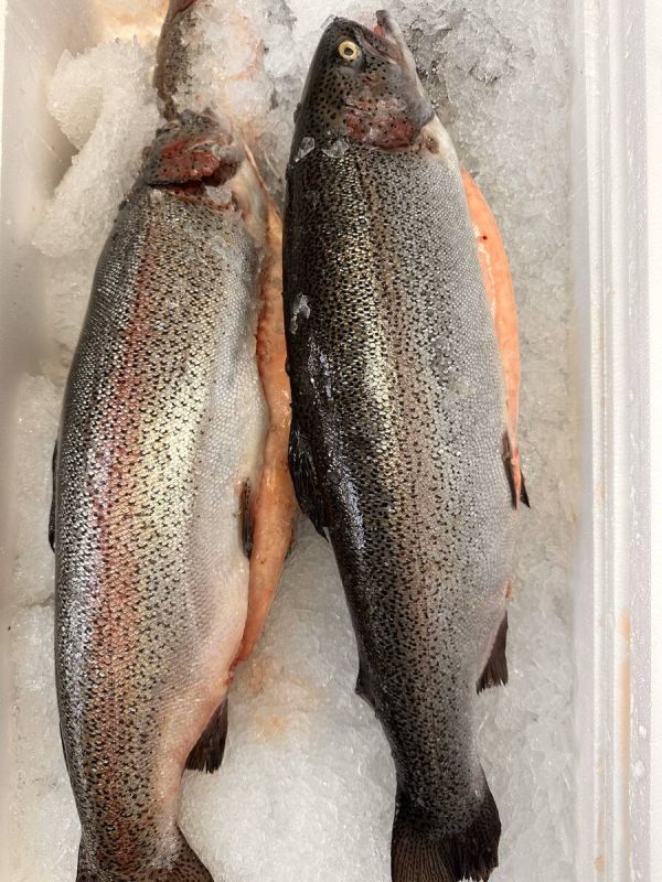 ���������� ������ � ������� �� �����: ������� ������!