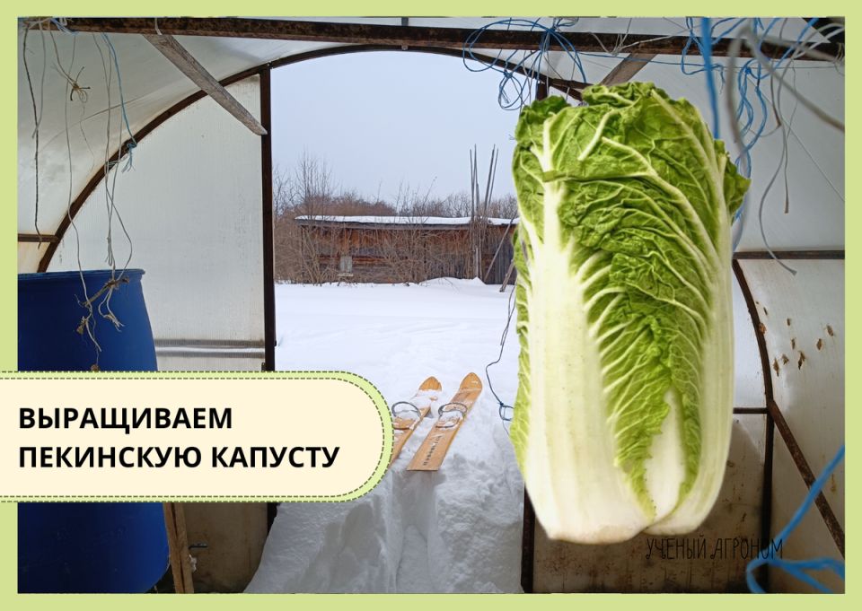 ��������� ������� � �������: ��� ��������� ������ �� �������