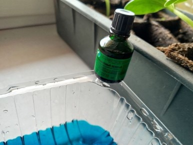 Необычное применение зеленки на даче: советы для садоводов