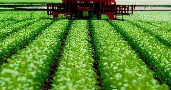 ����� ����� ��������� �������� �� ����������� � ��������������