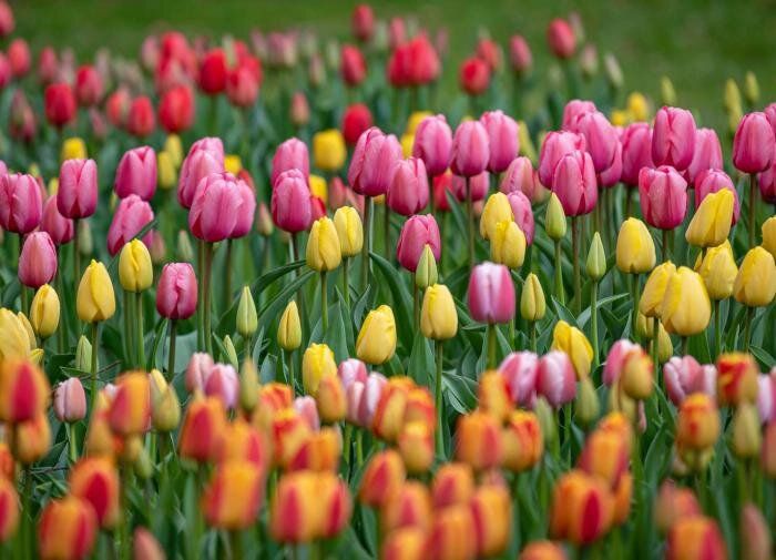 ��������: ������������ ������� � ���������