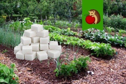 ��� ����� �������� � �������: ������� �������������