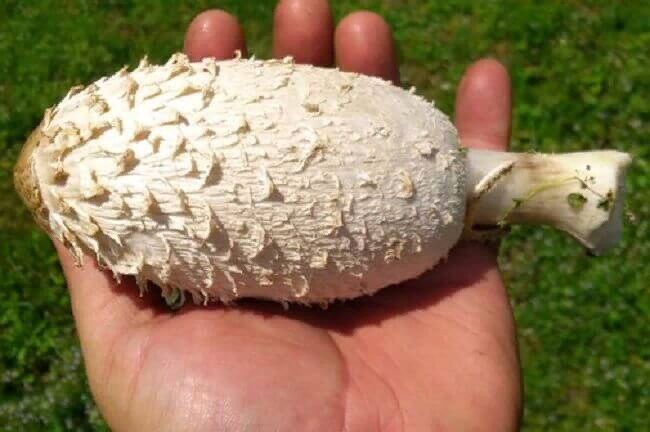 �������� �����: ��������� ���� � ������������ ��������