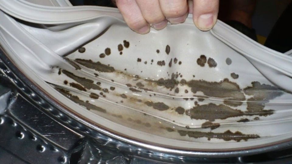 ��� ������ ���������� �� ������� � ���������� ������: ������� ������