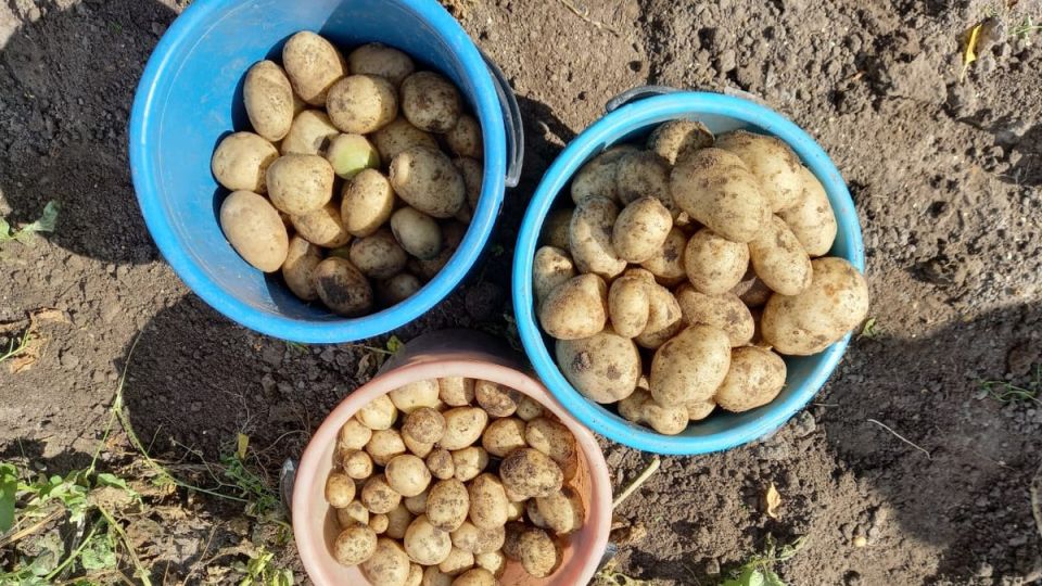 ��� �������� ������������ ������ � �������: ������ ������� �����