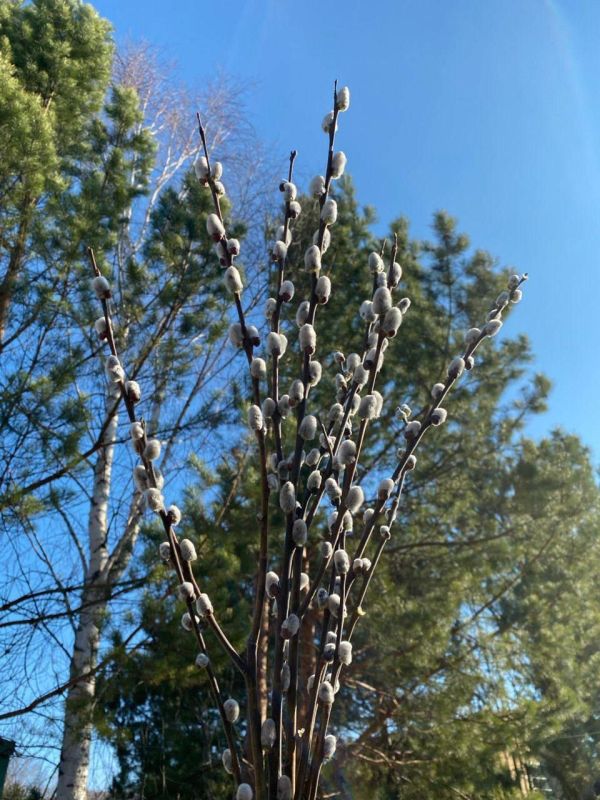 � ������� ������������, ������� ������ ������ ������!