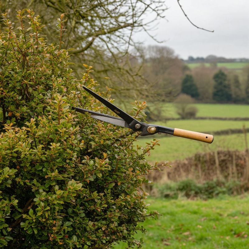 ��� ��������� �������� ������� � ���������� � ���: ������ ��� ��������