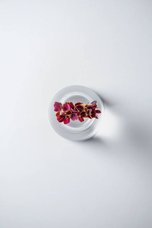 ���-��� �� ���� � ��������� �������� � ������� ������� � �������� � �������