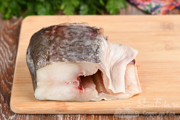 ������������ ������ �����: ������� ��-������