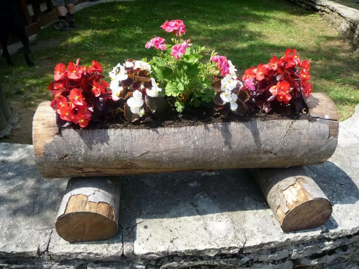 Преобразование бревна в цветник: стильное решение для вашего сада