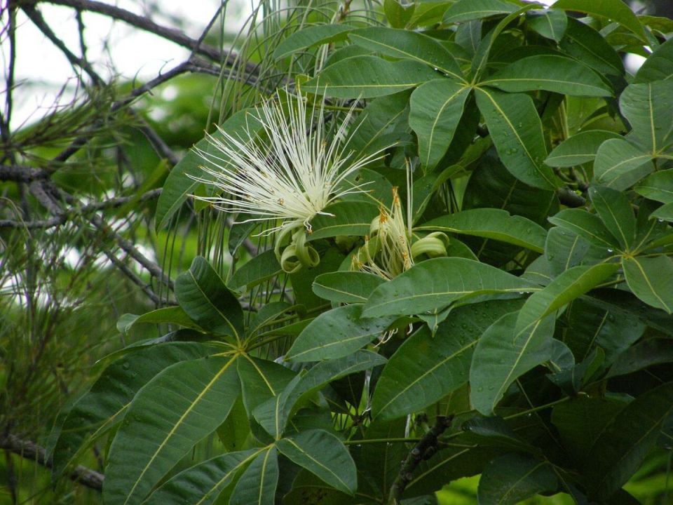 ��� ��������� �������� ������: ������� ��������� ����� �� ���������