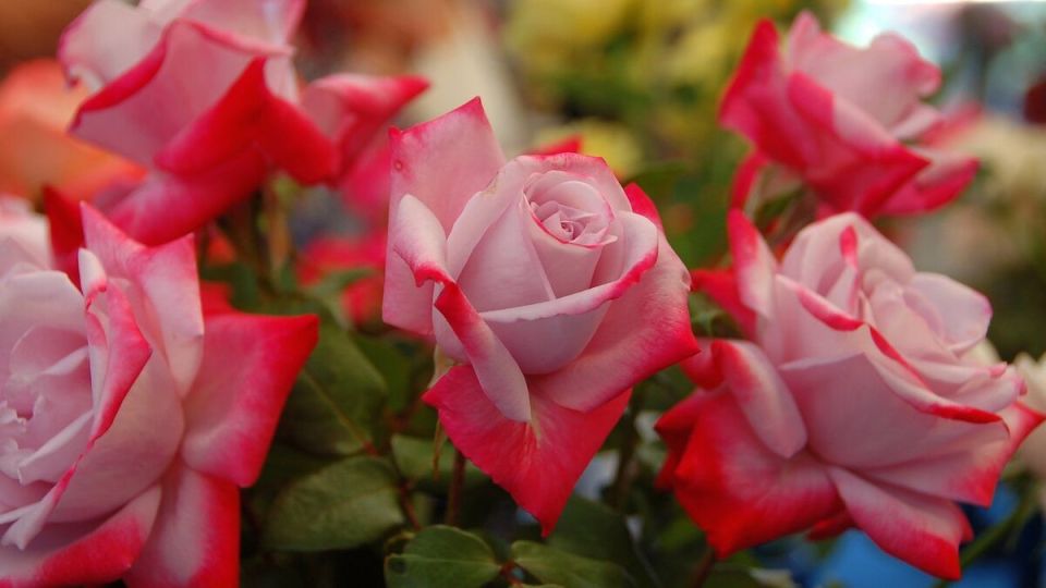 ���� Marvel: ��������������� ��������� ������ ����