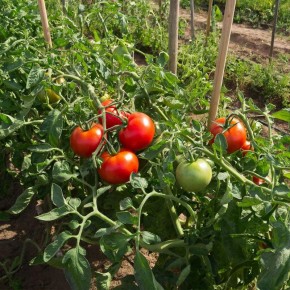 �������� ������ �������: �� ������ ����� �� ������ �������