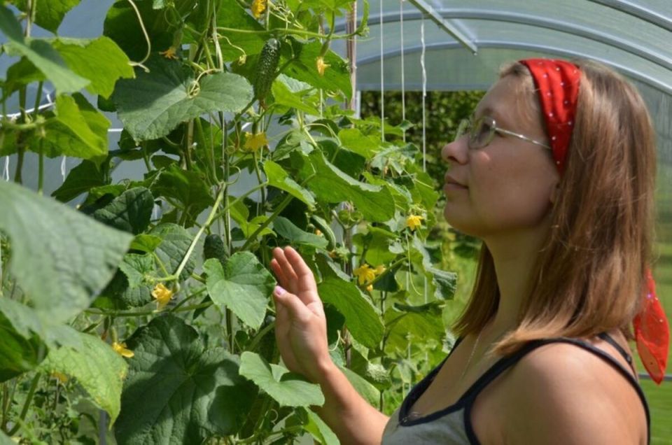 ������� ��� ���������: ������ ������ ��� ������ ������