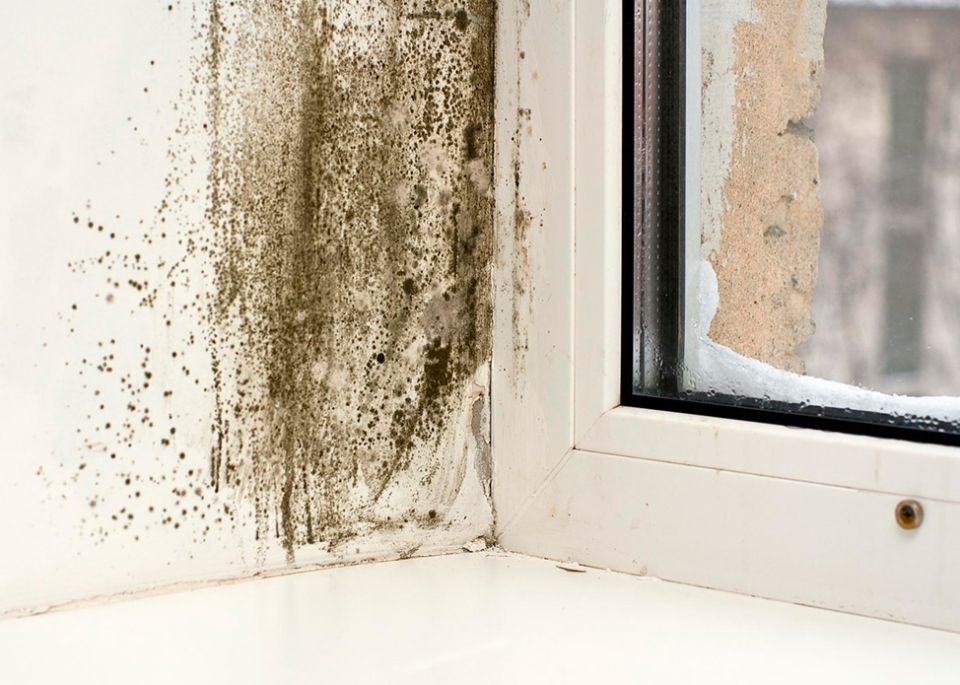 ������� � ����: ��� ���������� � �������� �������� ������