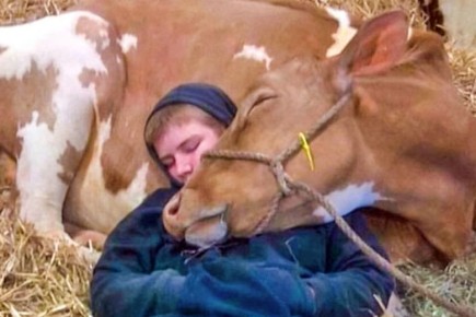 18 трогательных фотографий, которые заставляют задуматься о важном