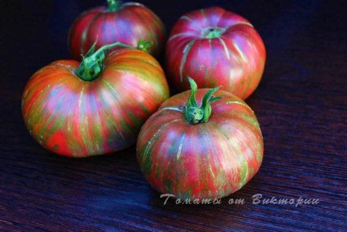 ����� ������� �����: ���������� ������� ��� ���������