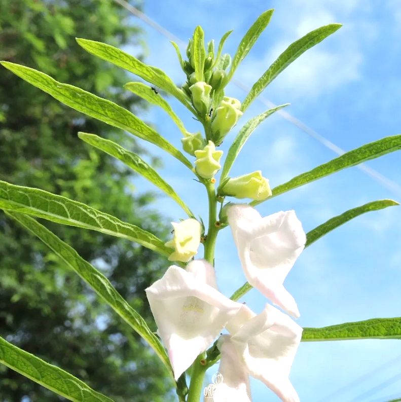 ������: ��������� ������� � ������������ �����������