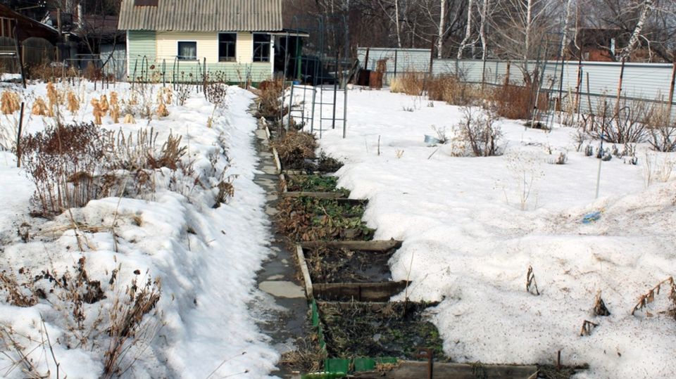 ���� �� ����: ��� ����������� ������� � ������ ������ � �������� ������ ����