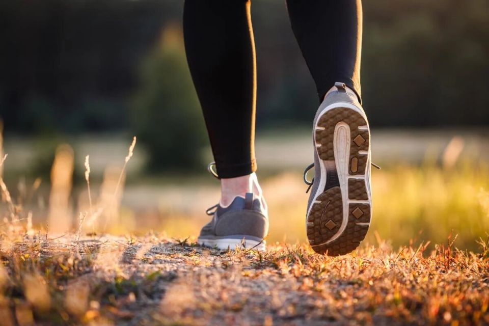 ��������������� ������������ �������, ������������ �� �������