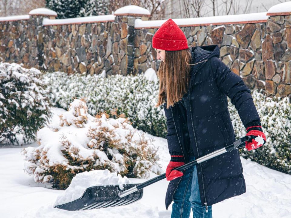 ����� ���� �� �����: ��� ������ ������ � ������