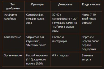 ��� ���������� ������� ������ �������� �� ��������� ���: �������� ���� ����� ����� ����