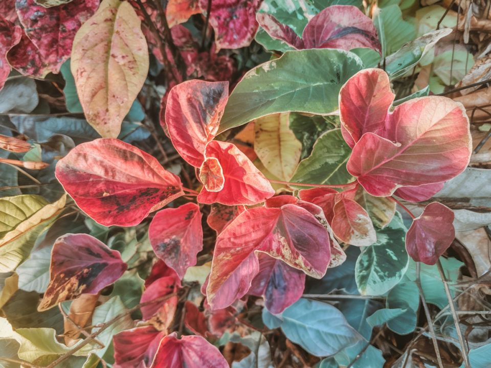 ������ ������� �������� ����� ��������� ��� ������: ���������� ���������